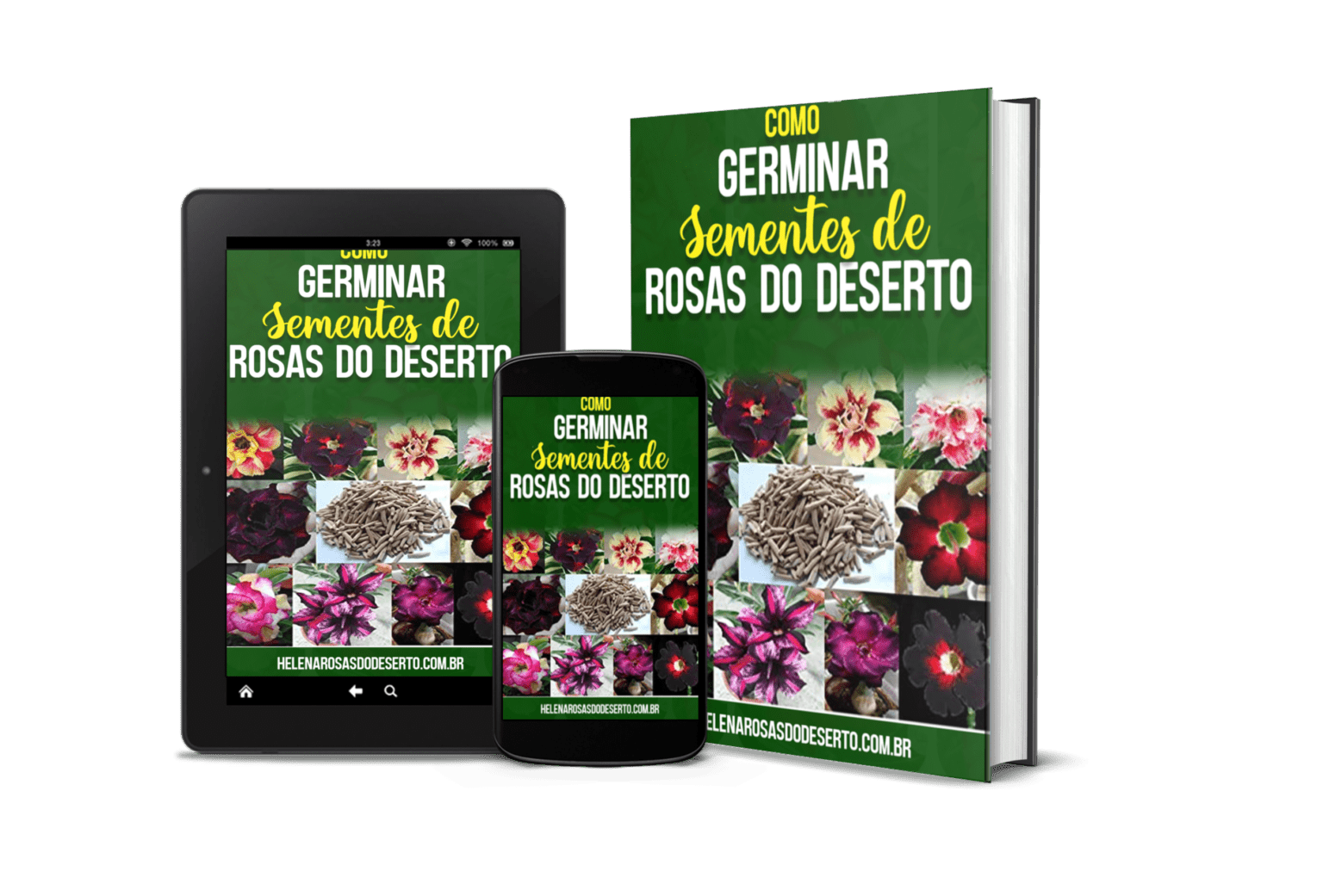 Quanto Tempo a Rosa do Deserto Leva para Crescer: Um Guia Completo