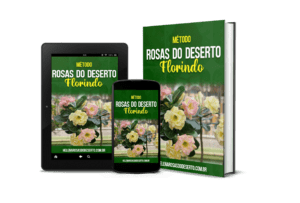 metodo rosas do deserto florindo