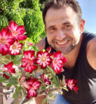 Curso de Rosas do Deserto do Leudo Júnior JR