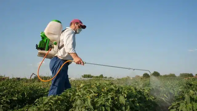 Veneno Usado na Agricultura para Proteger as Plantas