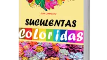 Manual de Colorir Suculentas em PDF