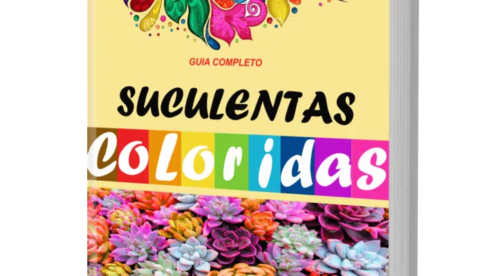 Manual de Colorir Suculentas em PDF