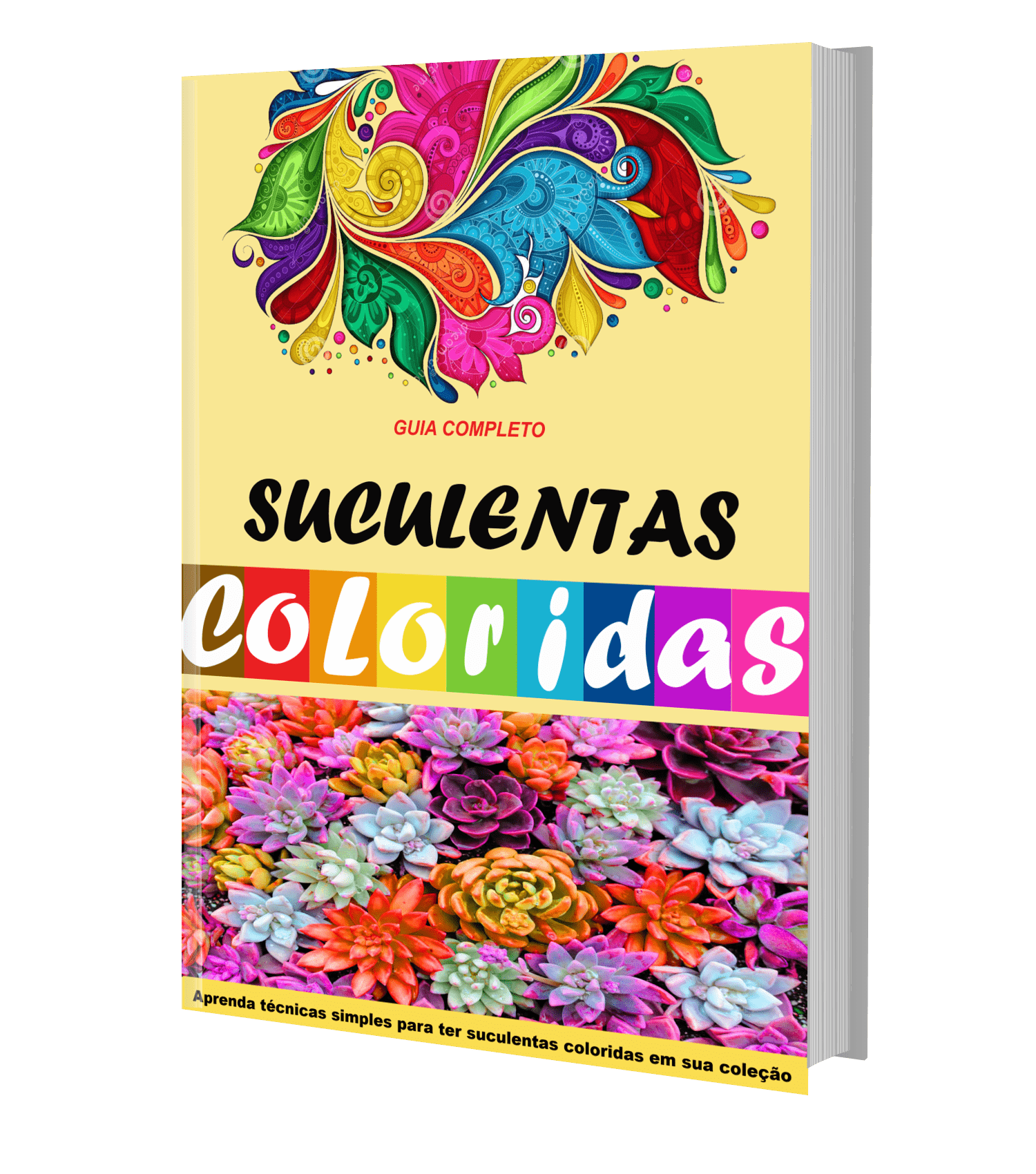 Manual de Colorir Suculentas em PDF