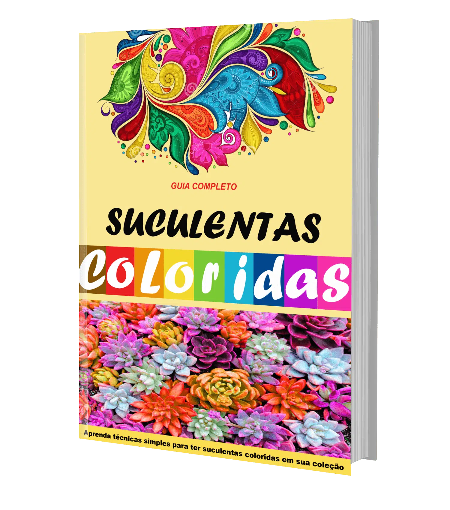 Manual de Colorir Suculentas em PDF