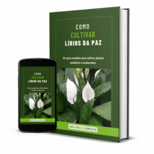 Manual de Cultivo de Lírio-da-Paz