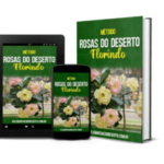 Manual de Cultivo de Rosas do Deserto