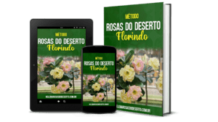 Curso de Cultivo de Rosas do Deserto em PDF