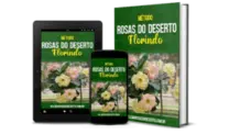 Manual de Cultivo de Rosas do Deserto