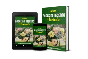 Manual de Cultivo de Rosas do Deserto