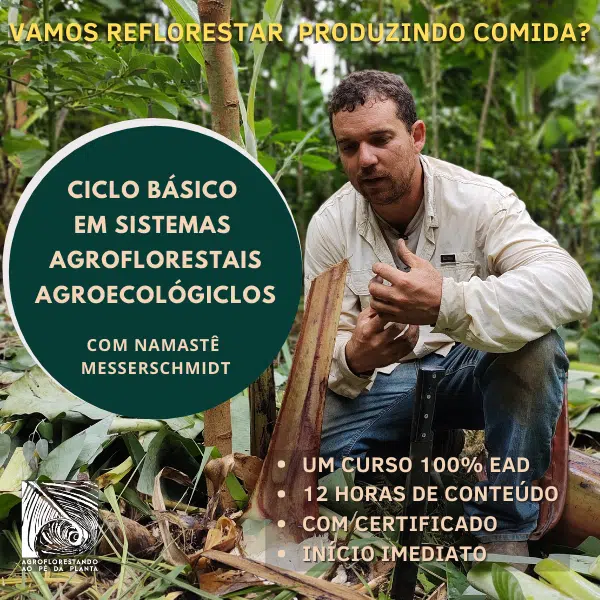 O Ciclo Básico em Sistemas Agroflorestais Agroecológicos