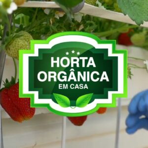Curso Horta Orgânica em Casa