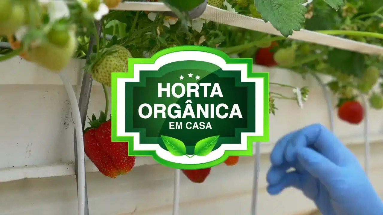 Curso Horta Orgânica em Casa