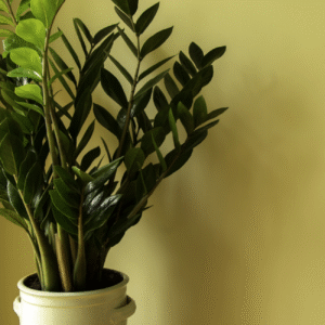 As 5 Plantas Mais Fáceis de Cultivar (Mesmo Que Você Não Tenha Jardim)