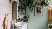 5 Plantas Perfeitas Para Banheiro: Resistentes à Umidade e Sem Luz Direta
