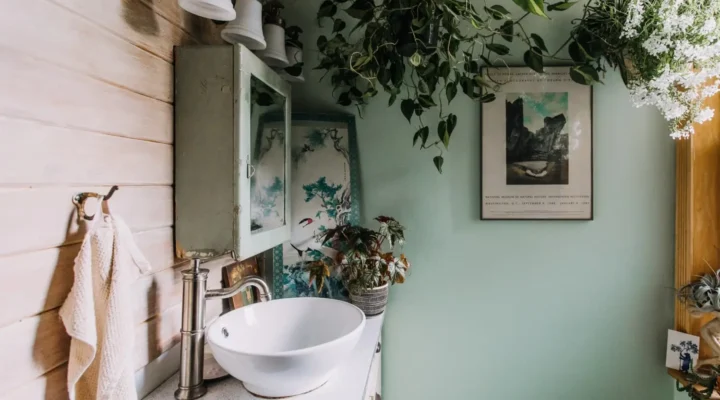 5 Plantas Perfeitas Para Banheiro: Resistentes à Umidade e Sem Luz Direta