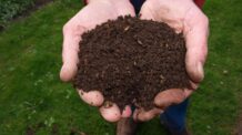 Adubo Caseiro: 3 Receitas Simples Que Transformam Suas Plantas