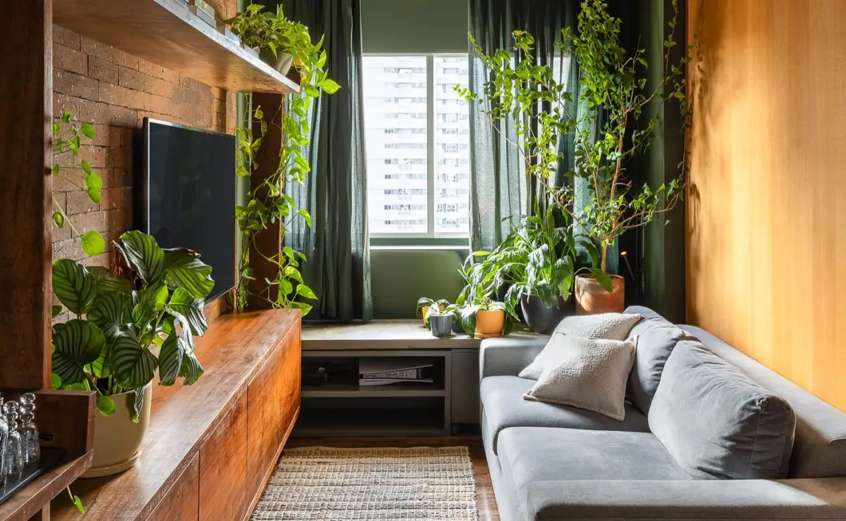 Como Cuidar de Plantas em Apartamentos Pequenos: Guia Rápido