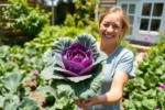 Pessoa feliz segurando repolho roxo fresco em jardim caseiro ao sol