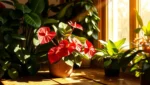 Antúrio Vermelho: Como Deixar Sua Planta Sempre Vibrante