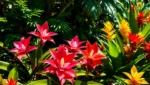 Bromélias Exóticas: Dicas para Flores Coloridas e Duradouras