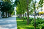 Caminho urbano com árvores plantadas nas calçadas.