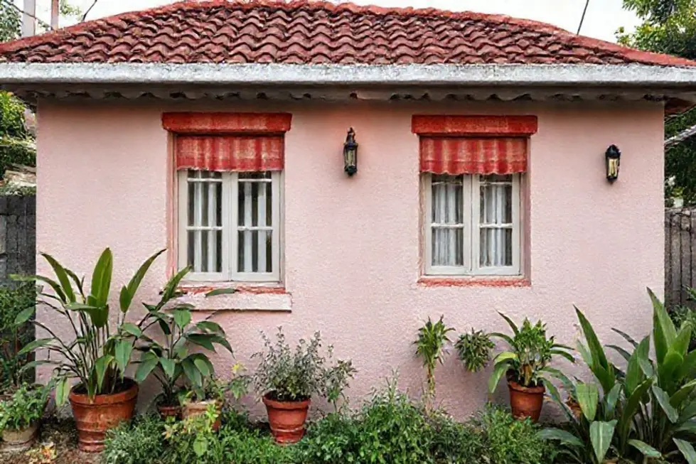 Casa aconchegante com cortinas limpas e plantas decorativas.