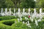 Visão de um jardim exuberante com várias Rendas Portuguesas.