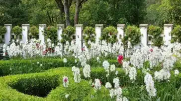 Visão de um jardim exuberante com várias Rendas Portuguesas.