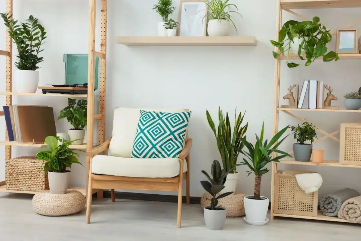 Plantas para apartamento: 7 opções ideais para trazer vida, purificar o ar e facilitar o cuidado do seu lar